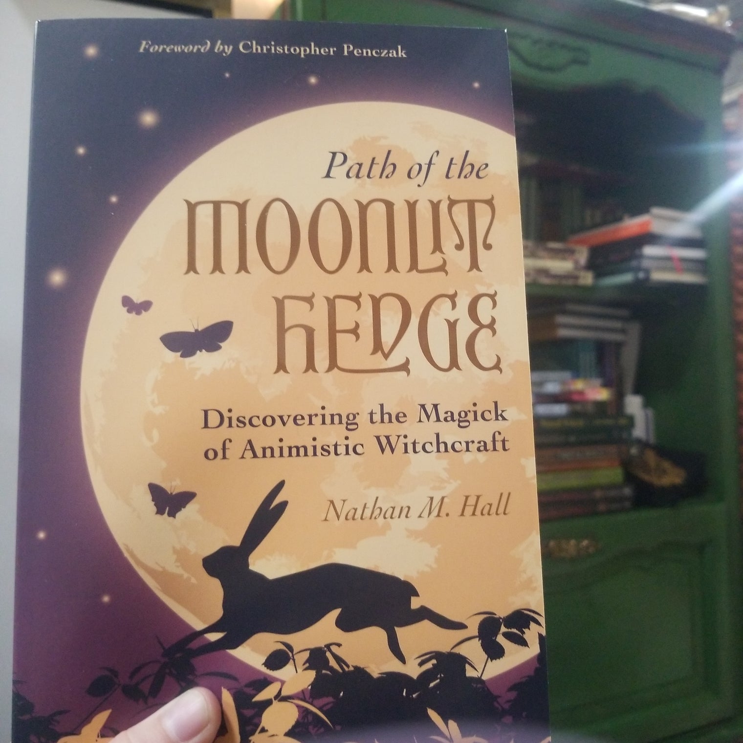 Path of the Moonlit Hedge