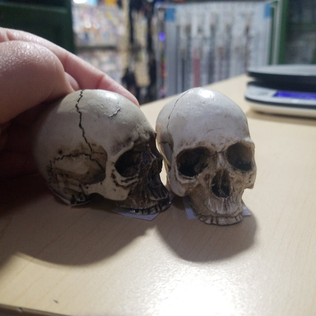 Small Skull