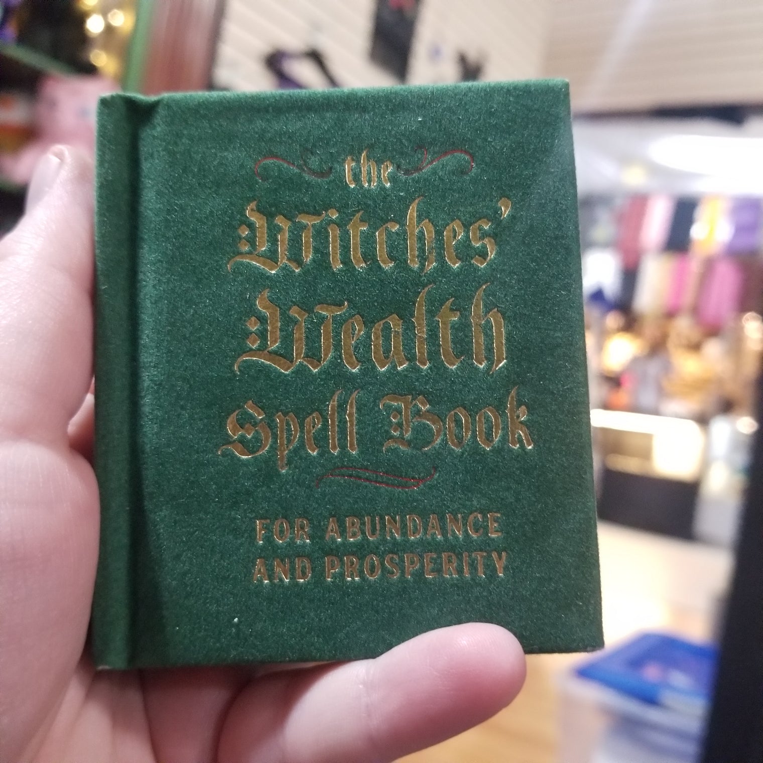 The Witches' Wealth Spell Book