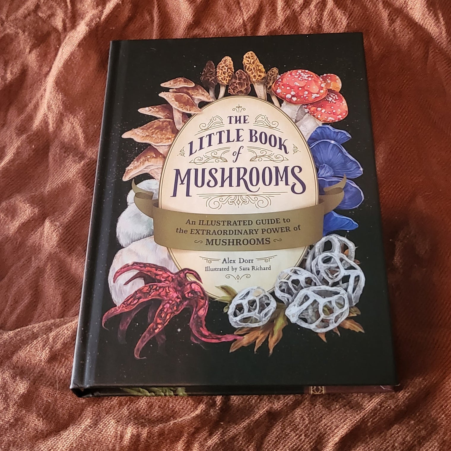 The Little Book of Mushrooms