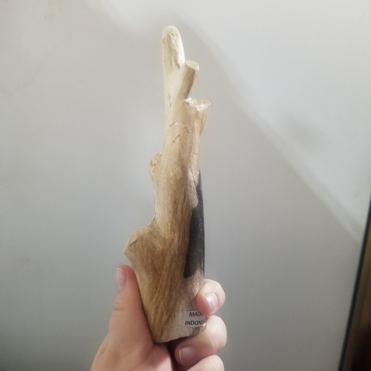 Petrified Wood branches