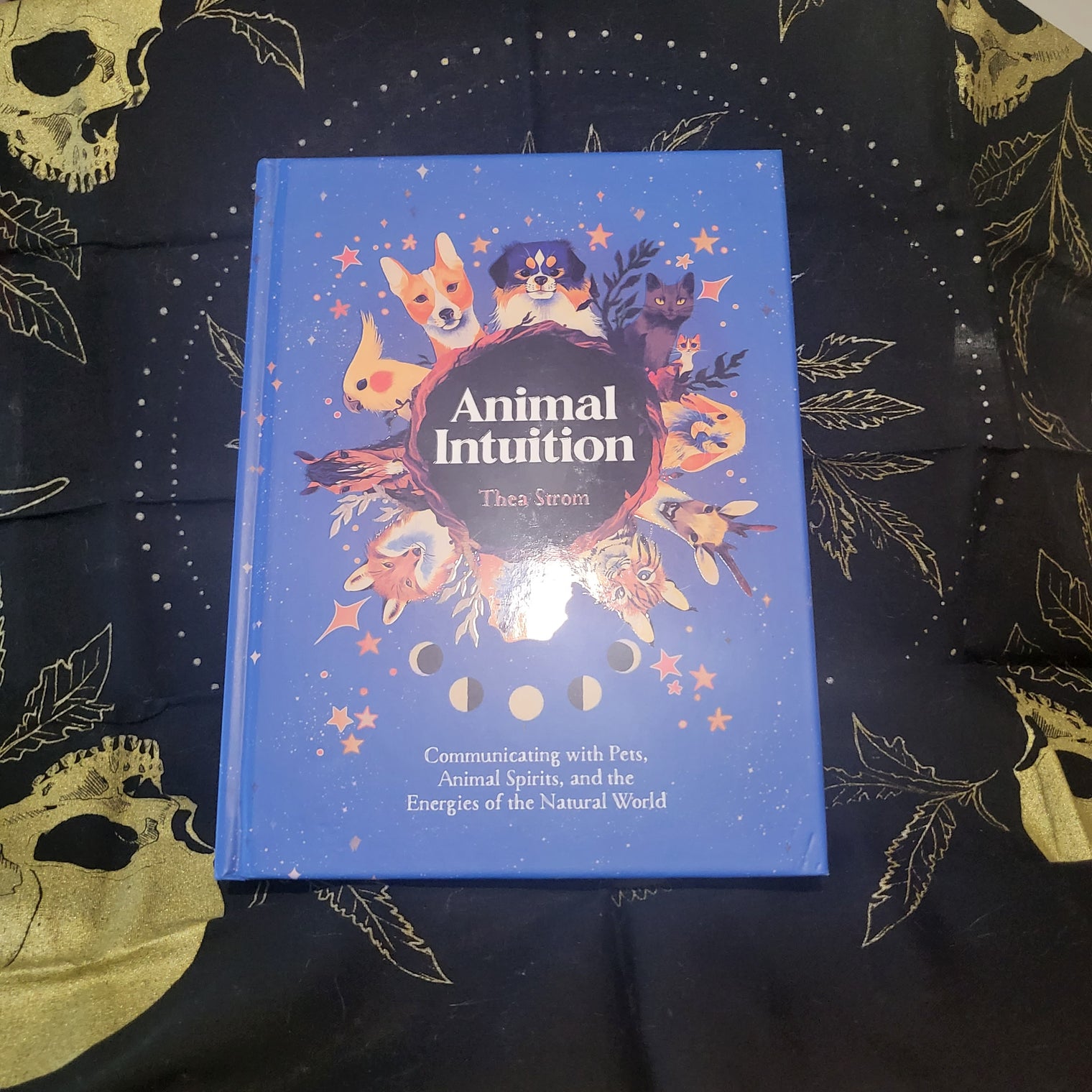 Animal Intuition