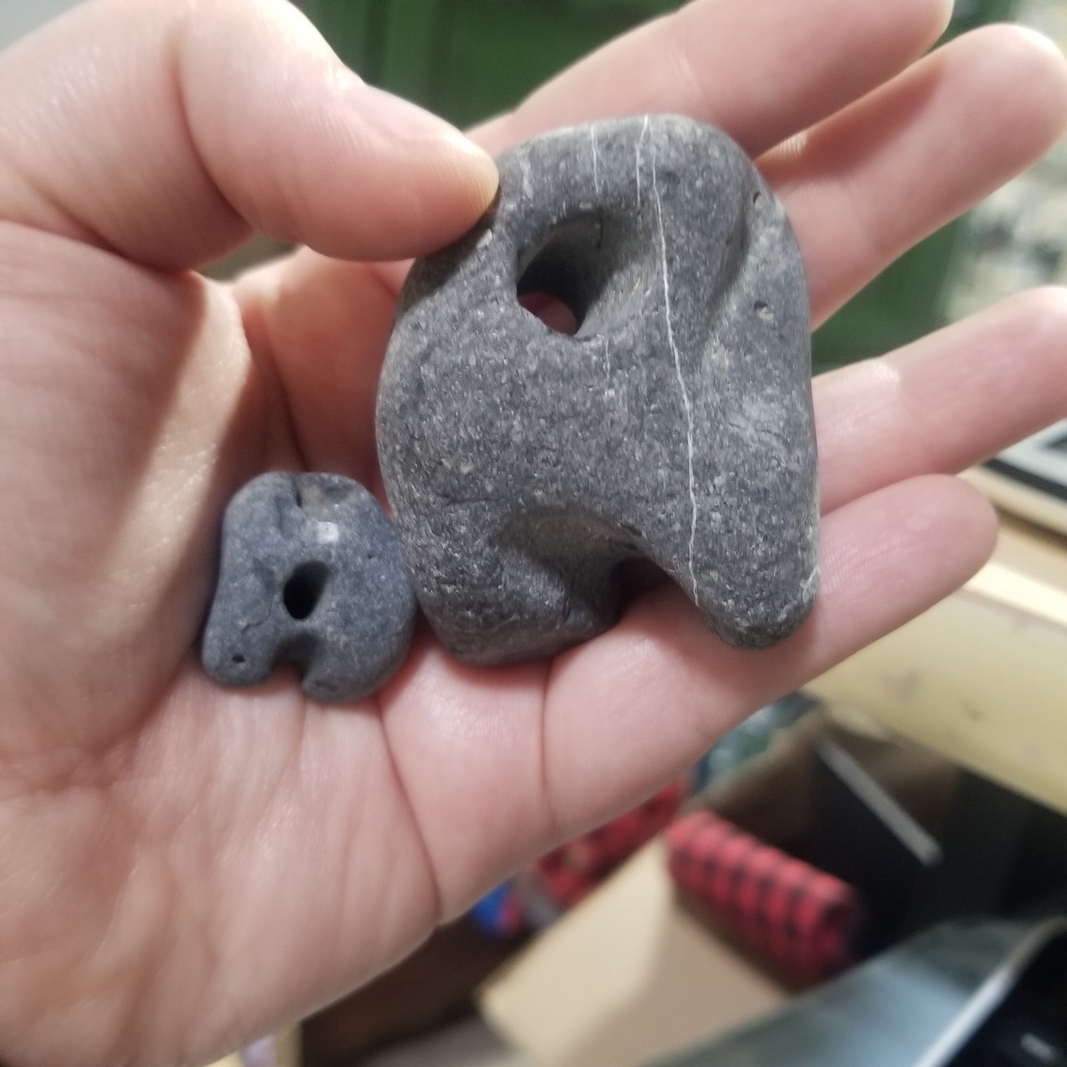 Irish Hag Stones