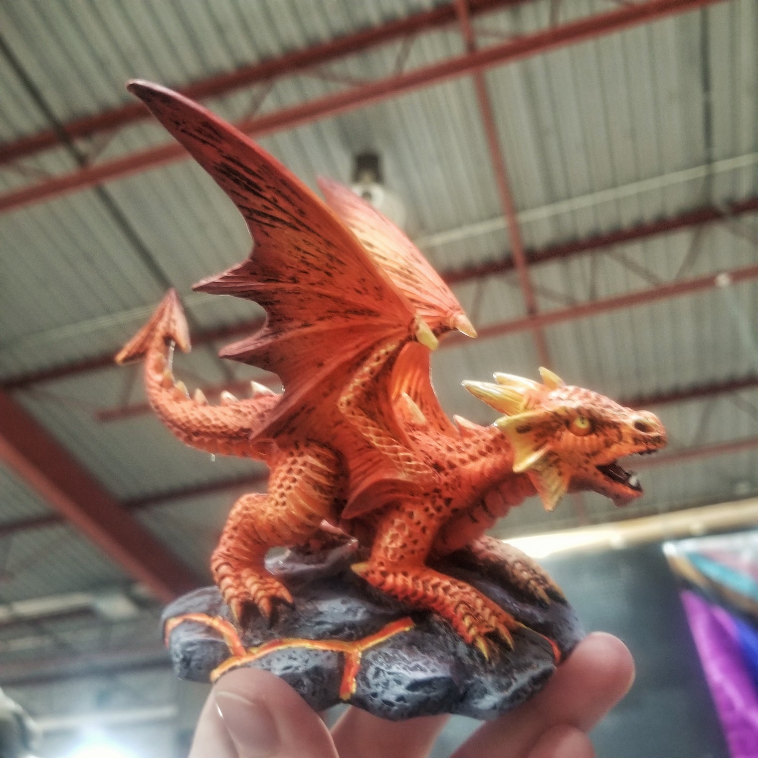 Fire Dragon Wyrmling