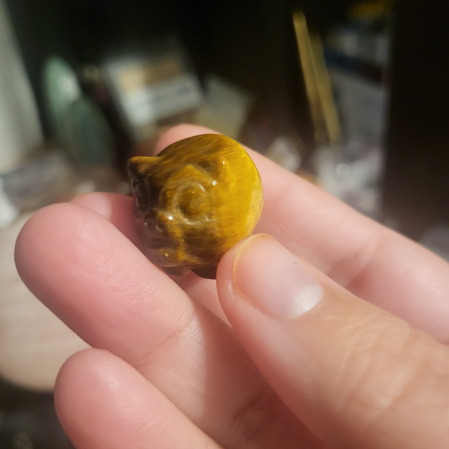 Small Tiger Eye Pigs