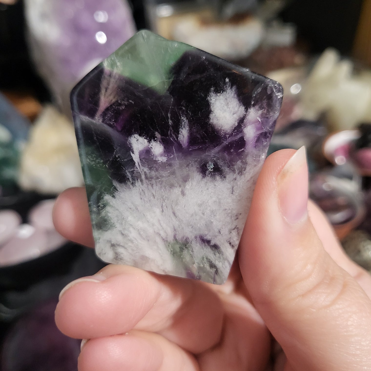 Rainbow Fluorite Freeforms
