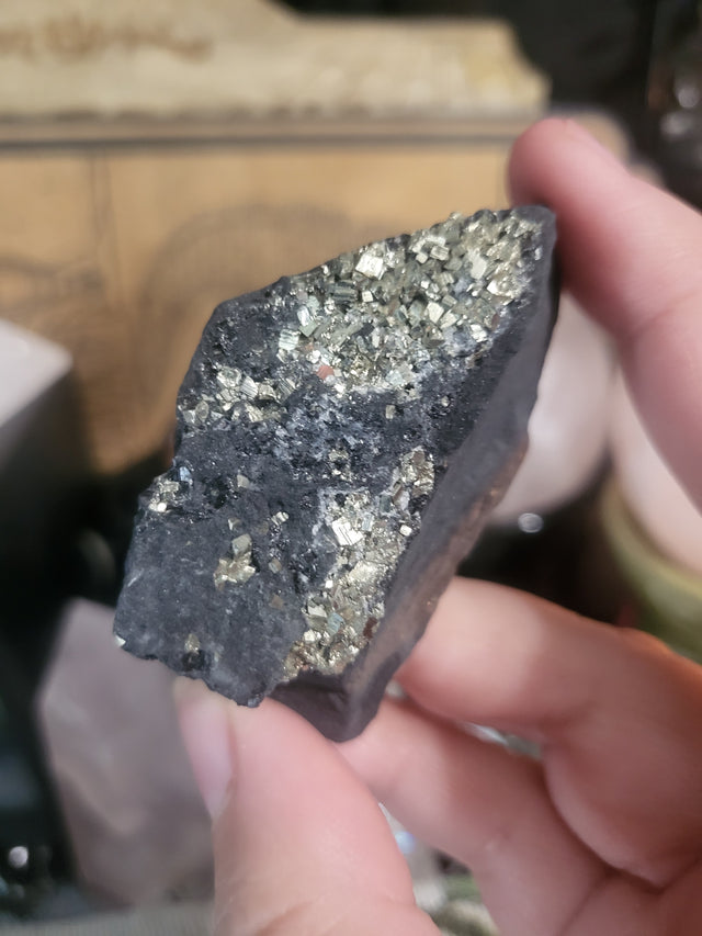 Small Pyrite on Basalt Specimen
