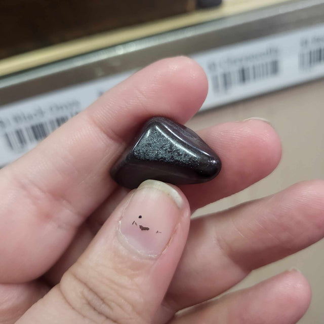 Ancestralite tumbles