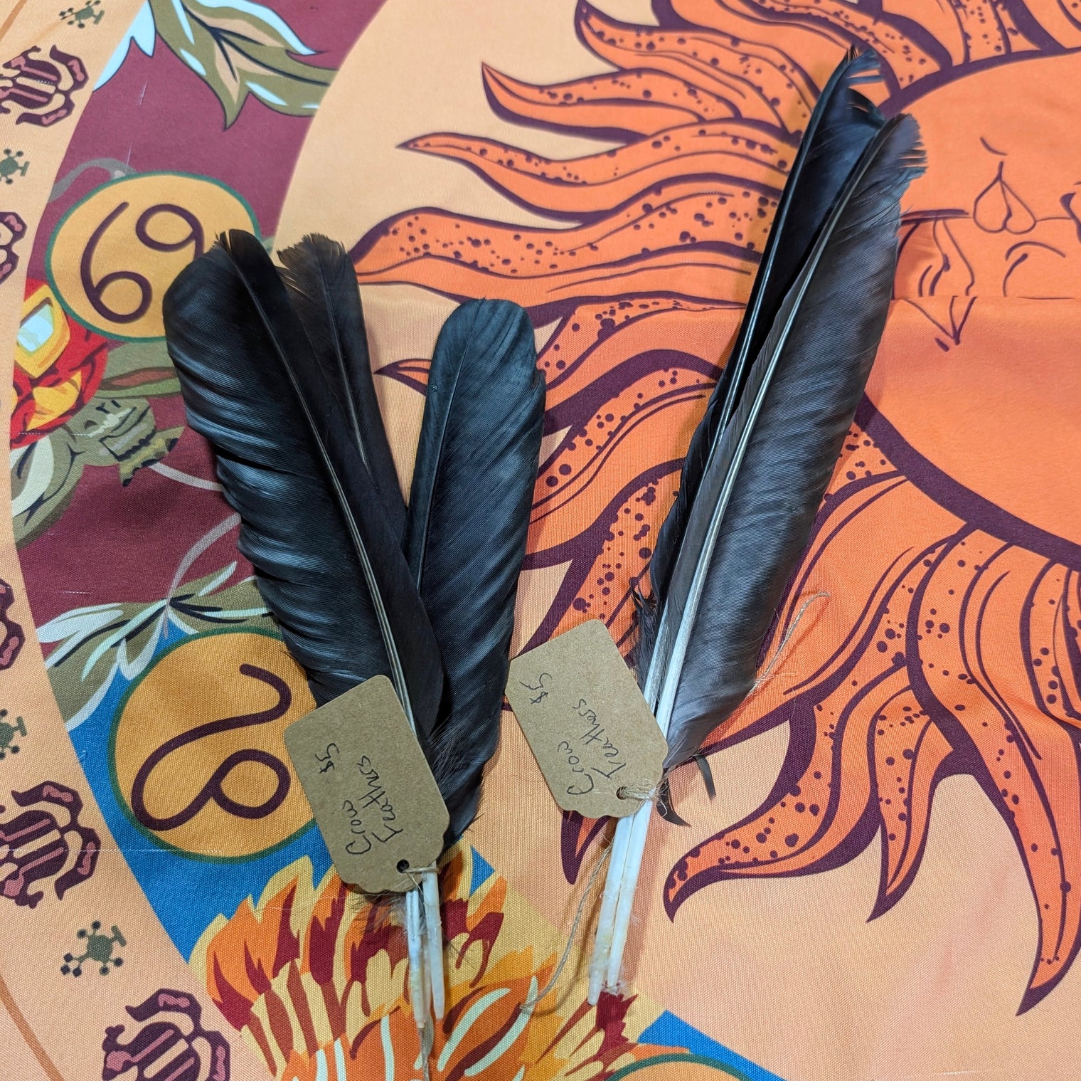 Crow Wing Feathers