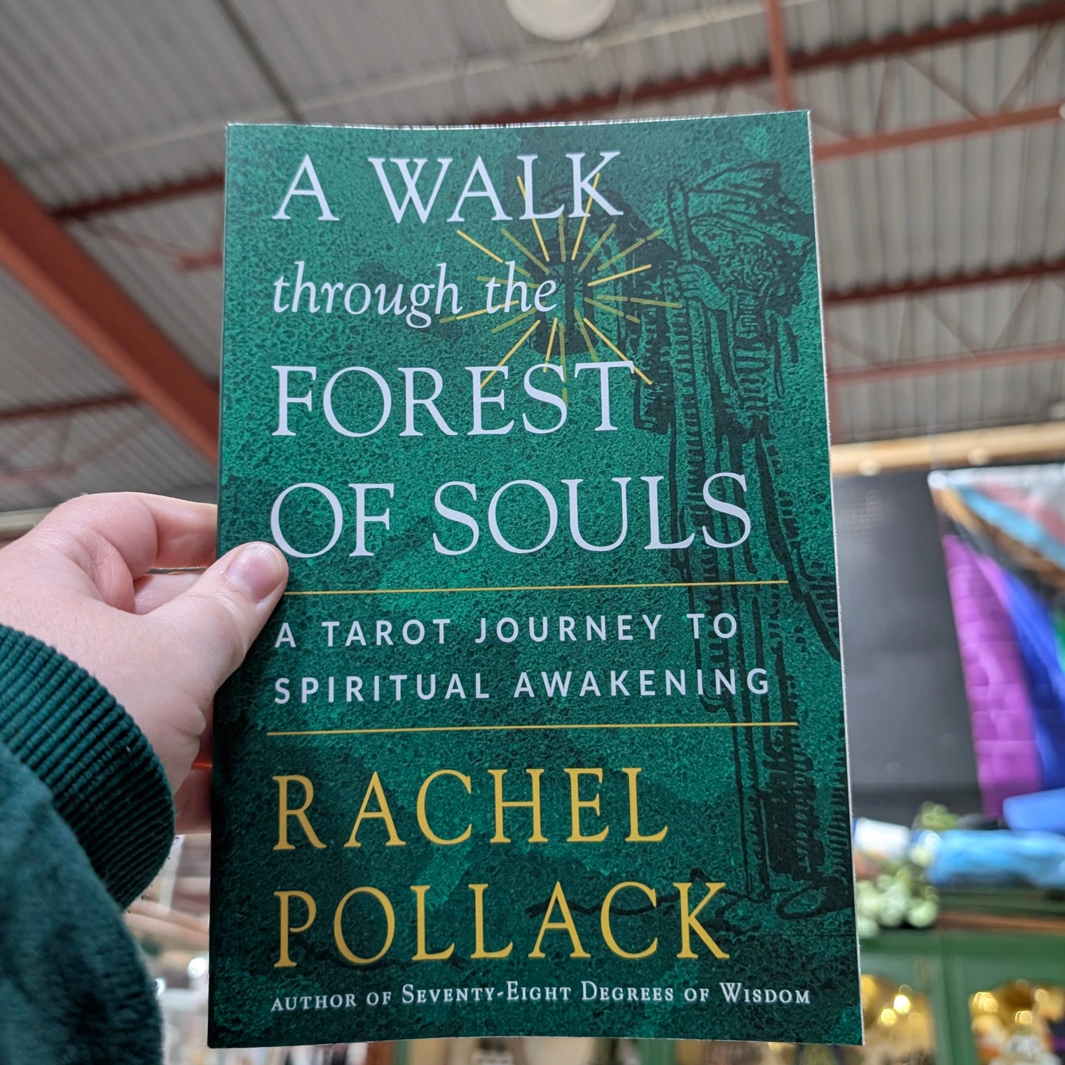 A Walk Through the Forest of Souls