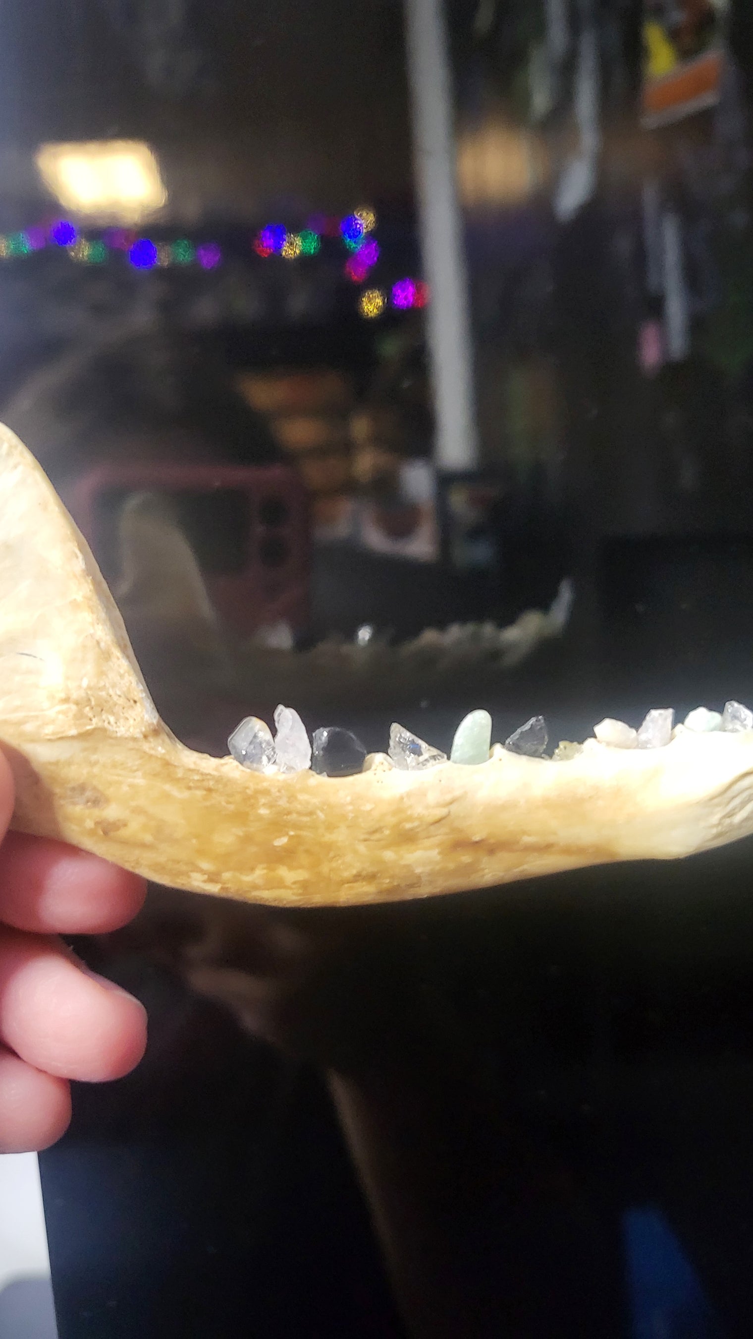 Crystal Tooth Half Jaws (Small)