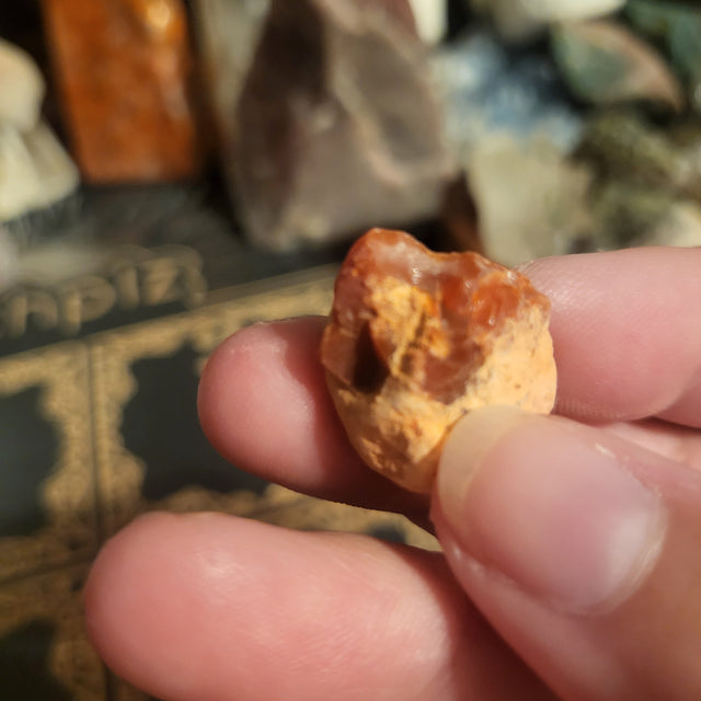 Cherry Opals