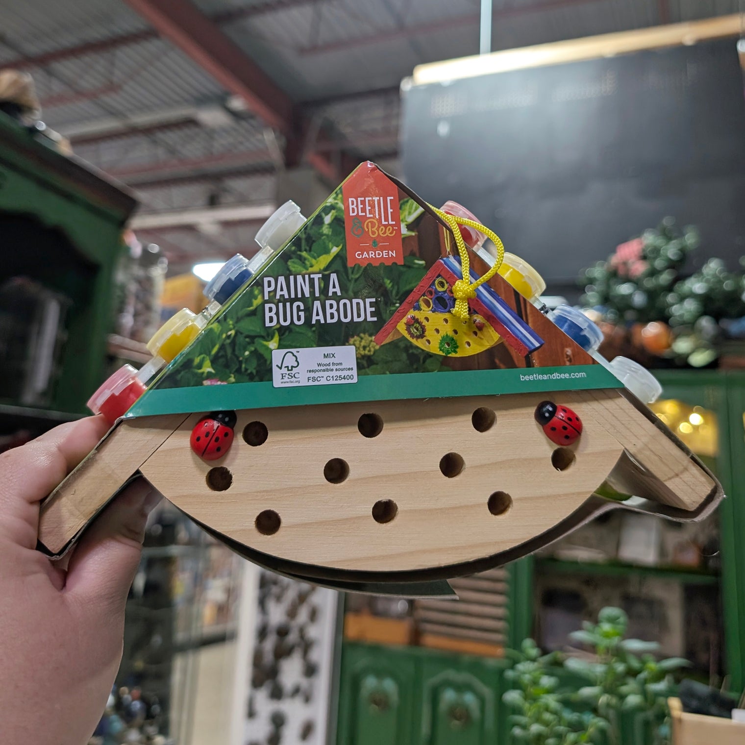 Bug House Painting Kit