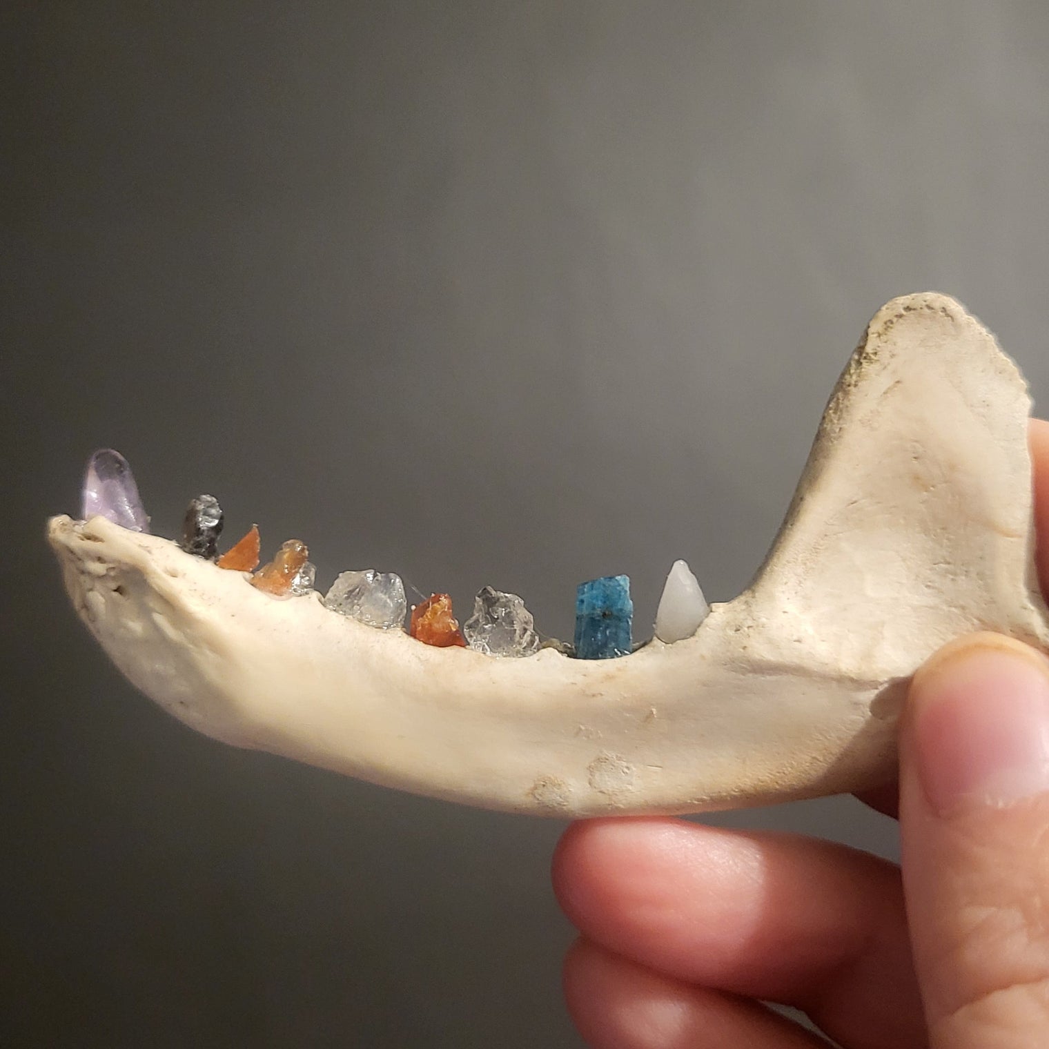 Hand holding a jawbone with crystal teeth against a dark background