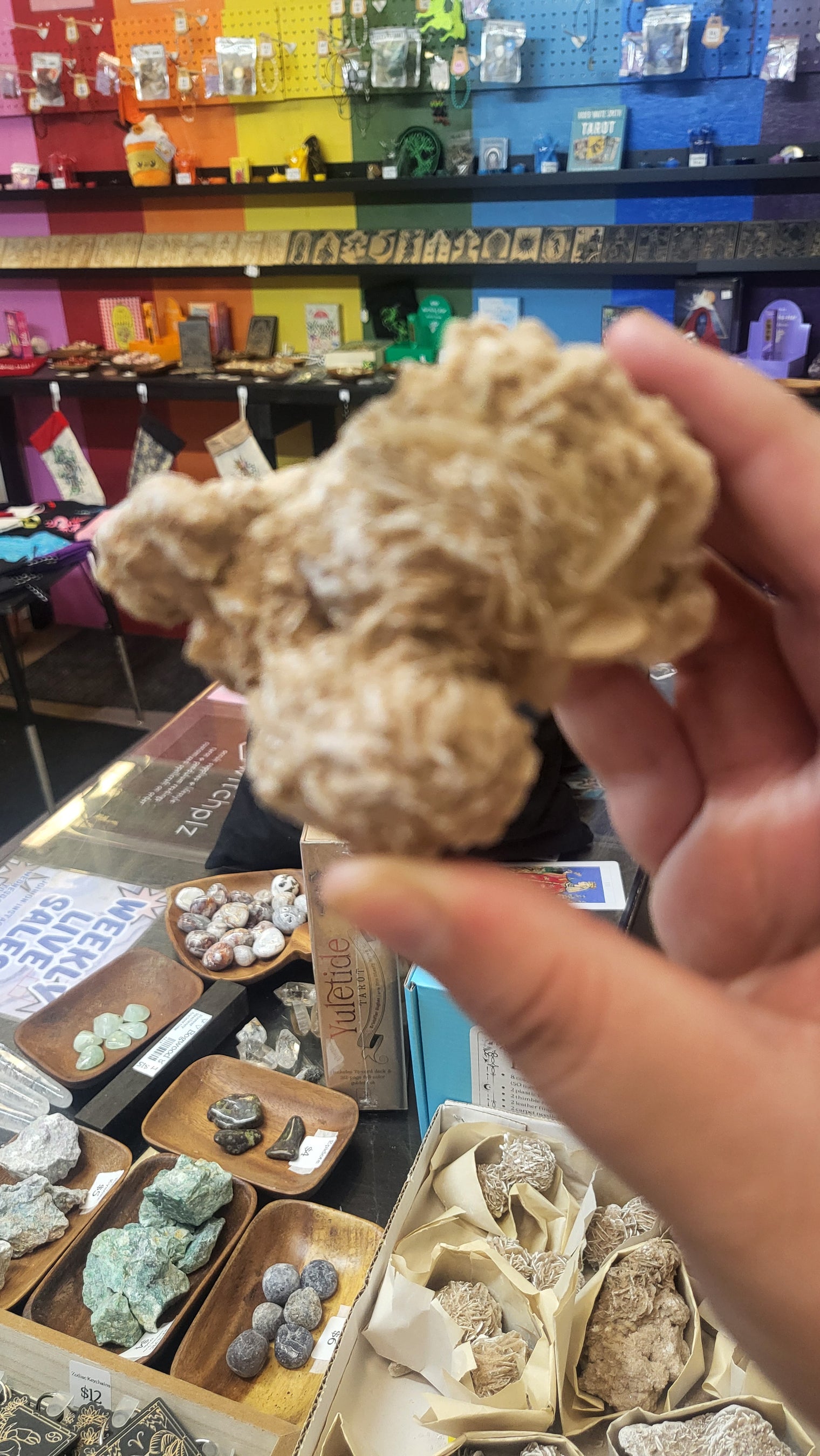 Desert Rose Selenite Unique Pieces