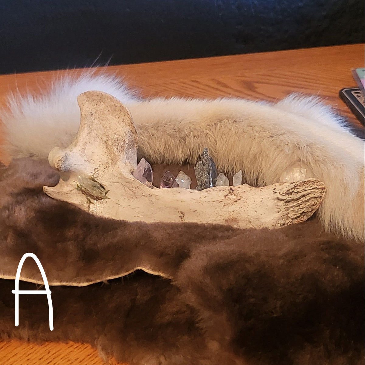 Crystal Bear Jaws