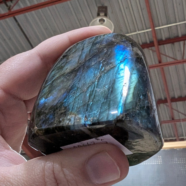 Polished Labradorite Freeforms