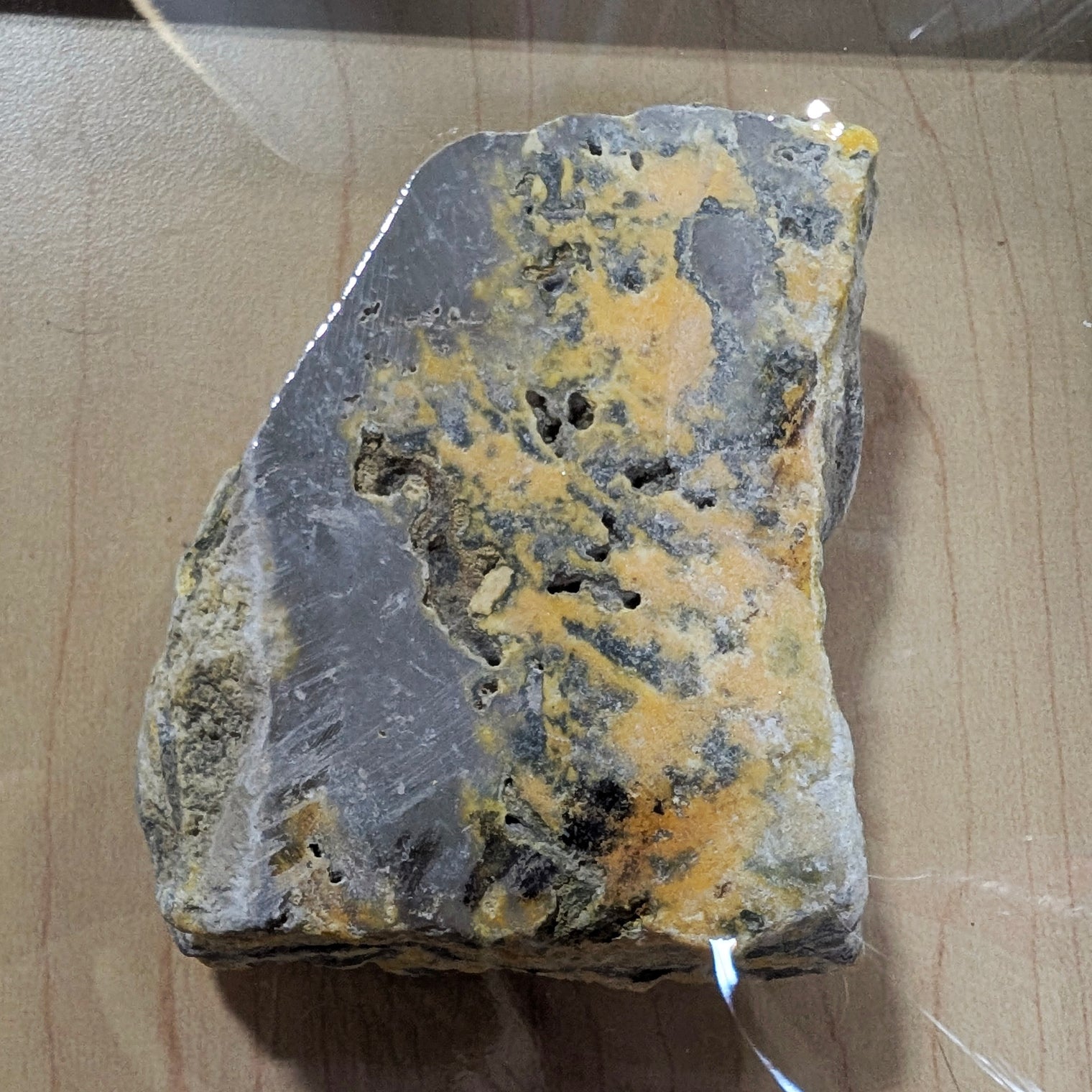 Bumblebee Jasper