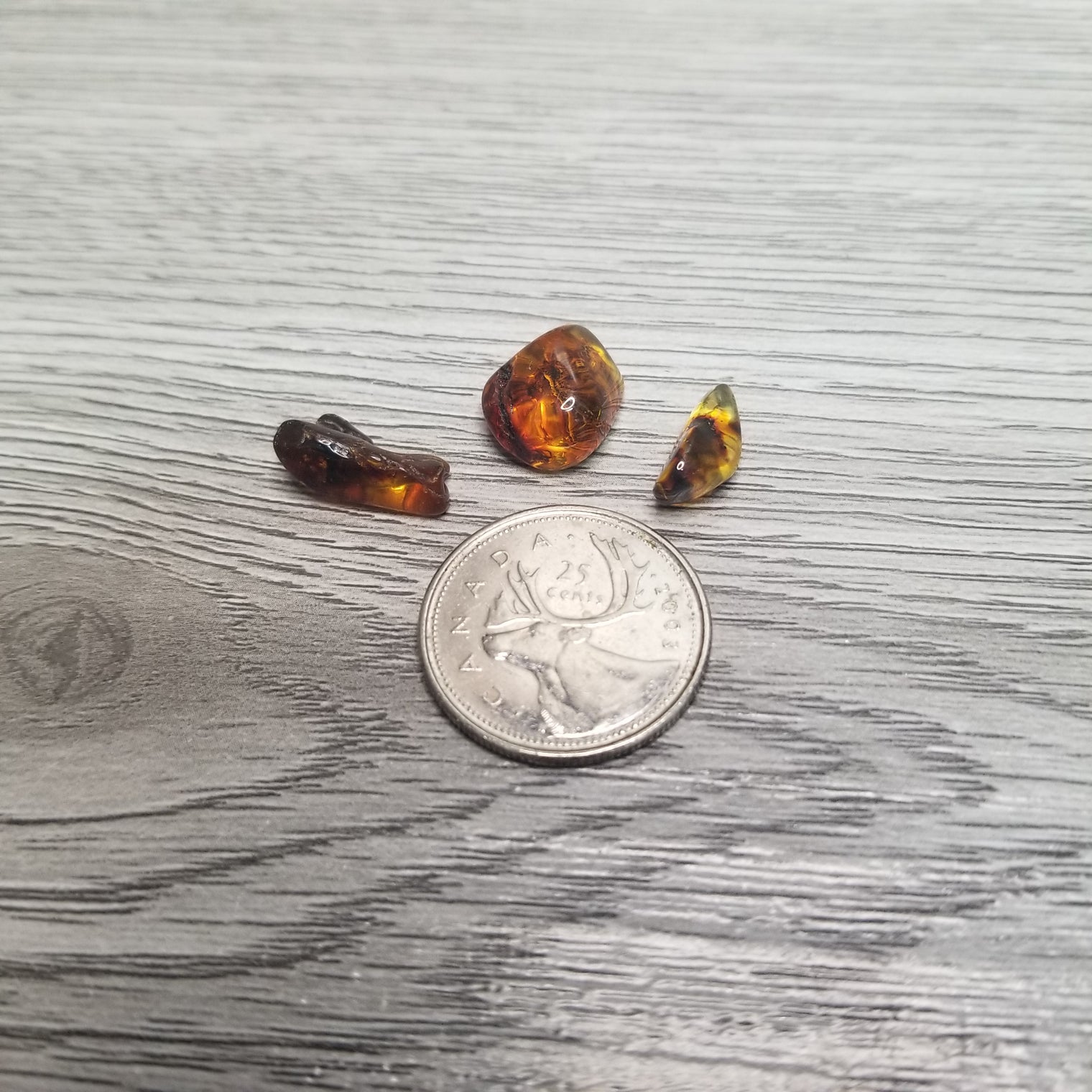 Baltic Amber tumbles
