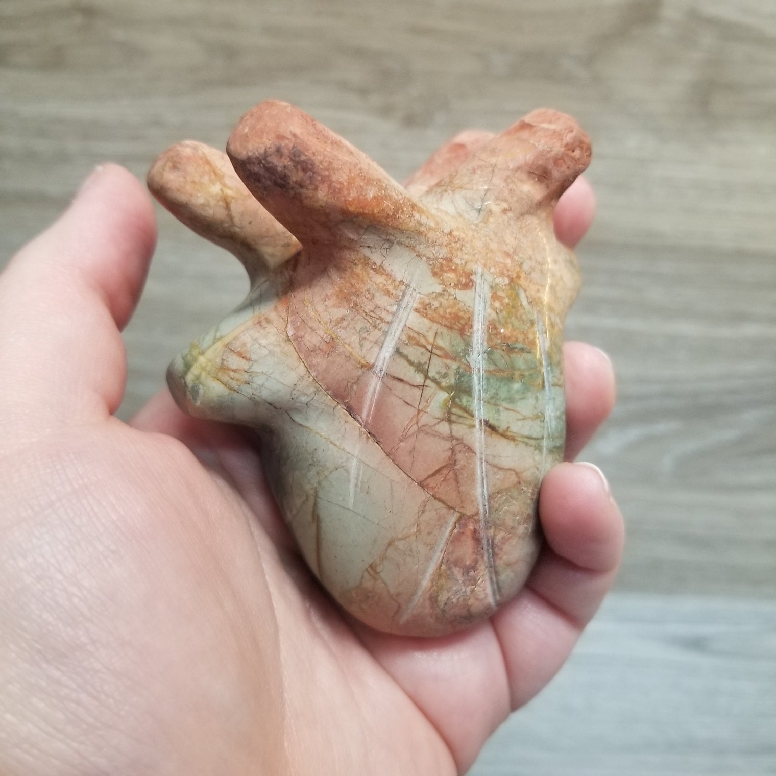 Anatomical Heart Carvings