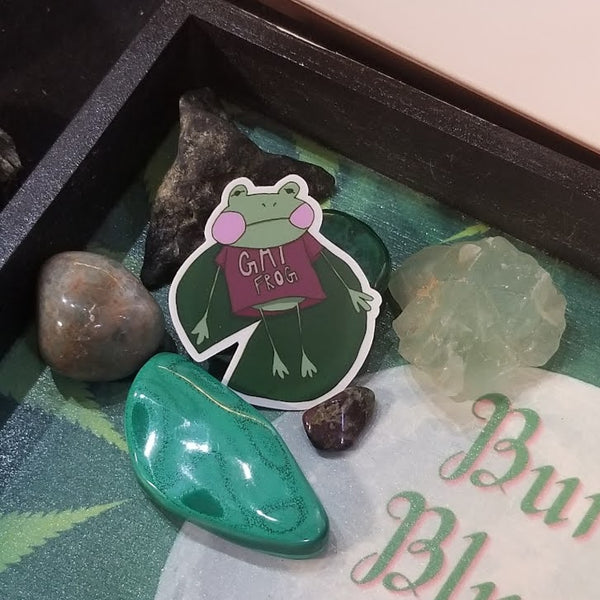 Gay Frog Sticker