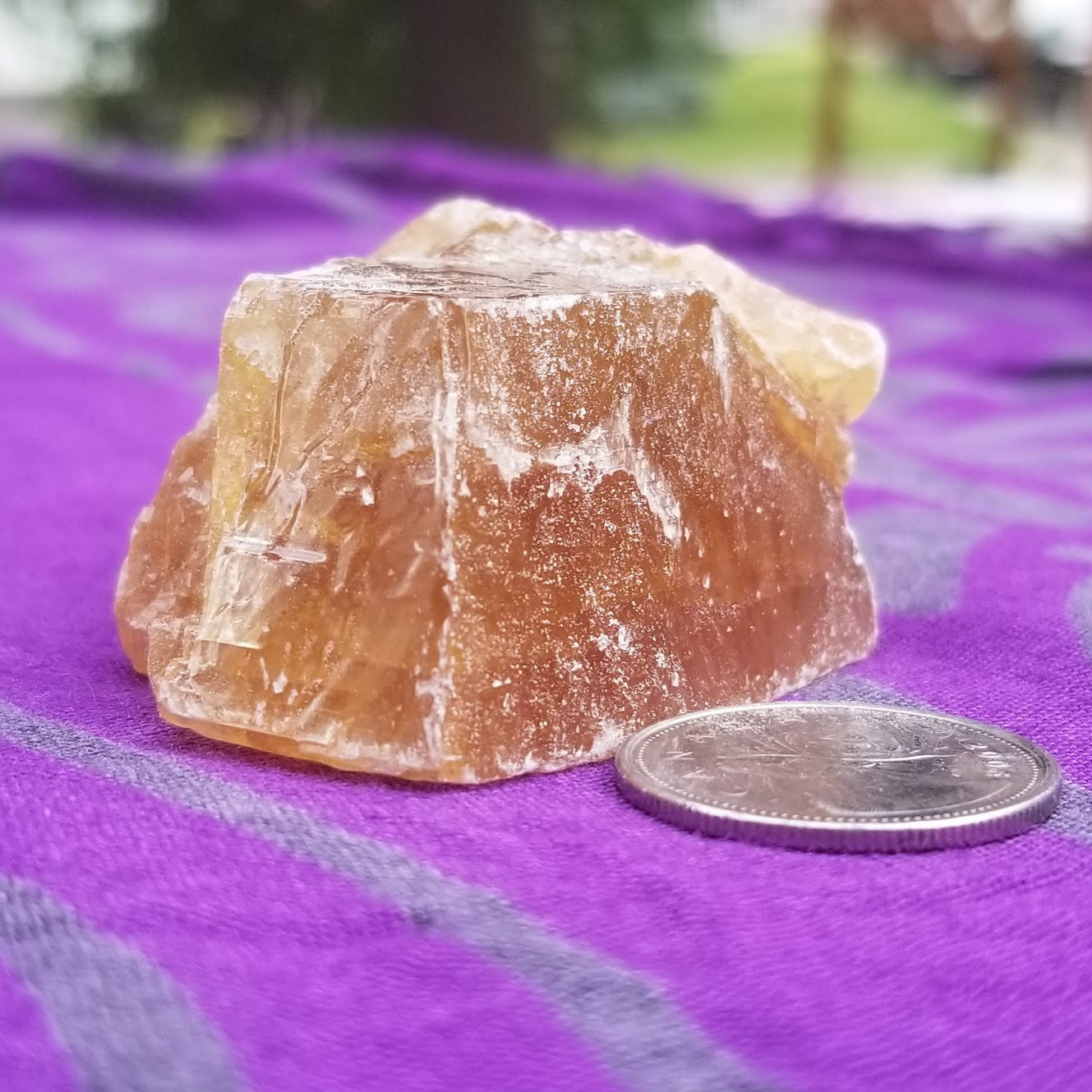 Honey Calcite Chips
