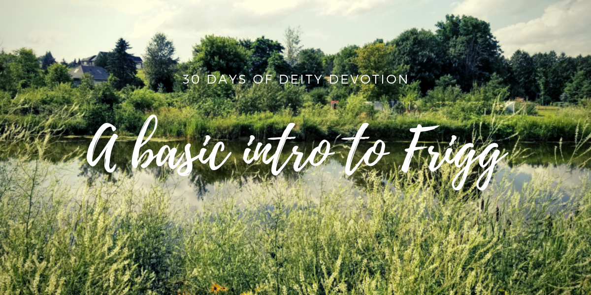 A basic introduction to Frigg