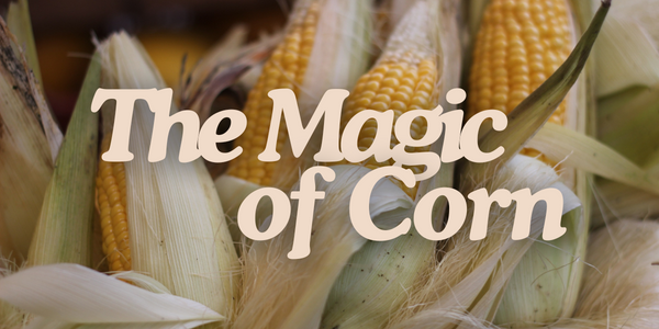 The Magic of Corn