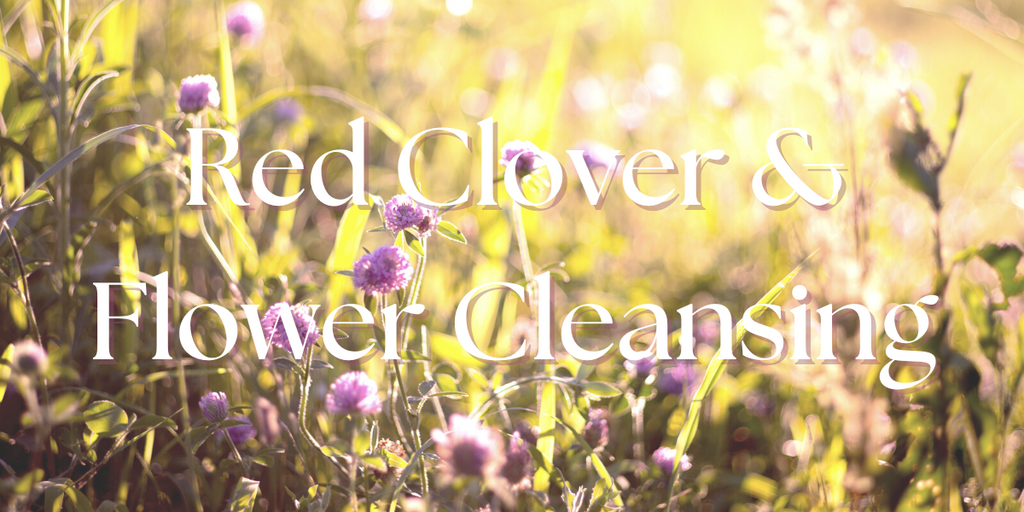 Red Clover & Flower Cleansing