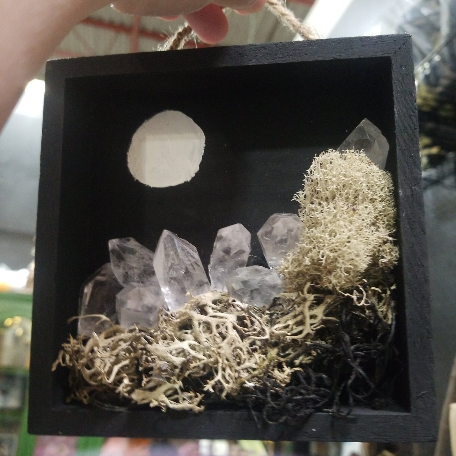 Lunar Hedge art piece
