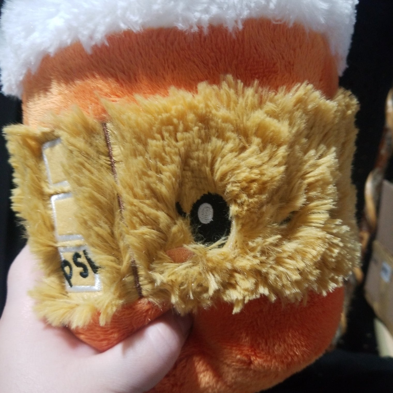 Plush Pumpkin Spice Latte