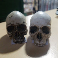 Small Skull