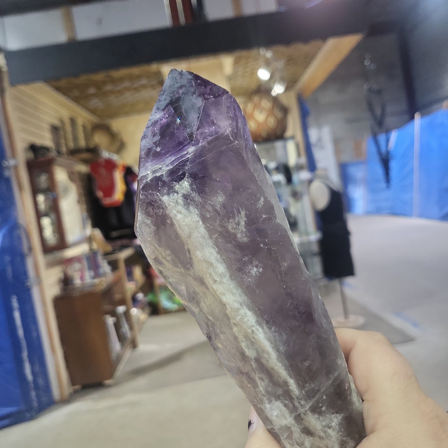 Amethyst Bahia Root