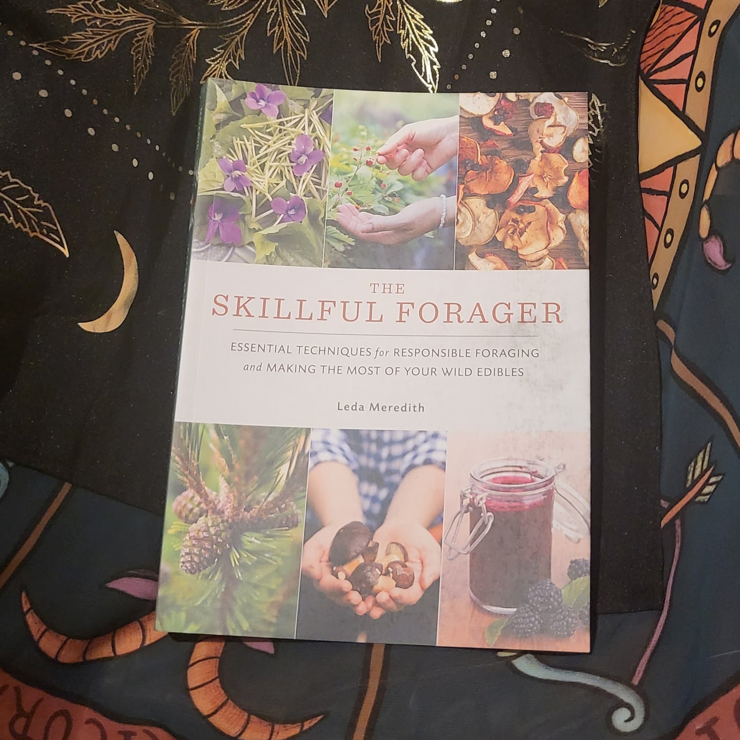 The Skillful Forager