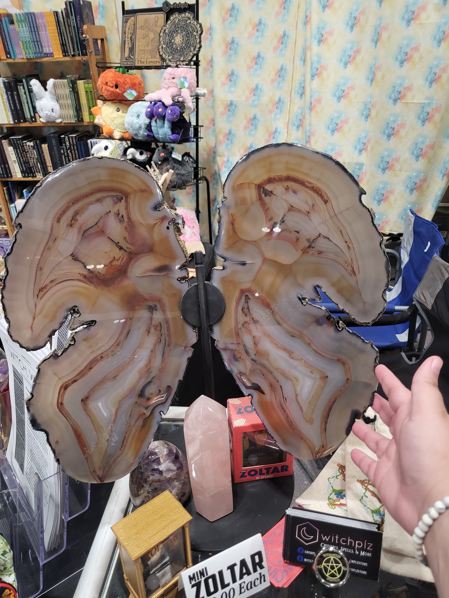 Giant Agate Butterfly