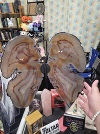 Giant Agate Butterfly
