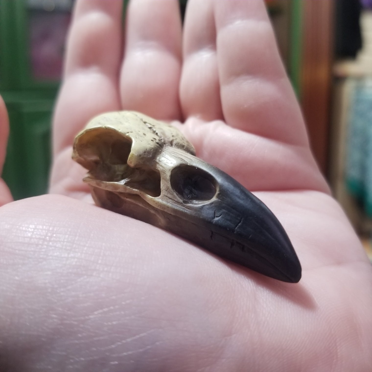 Mini Raven Skull figurine