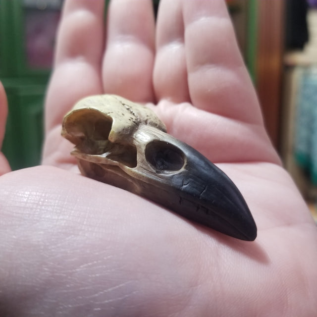 Mini Raven Skull figurine