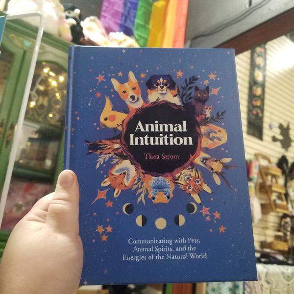 Animal Intuition