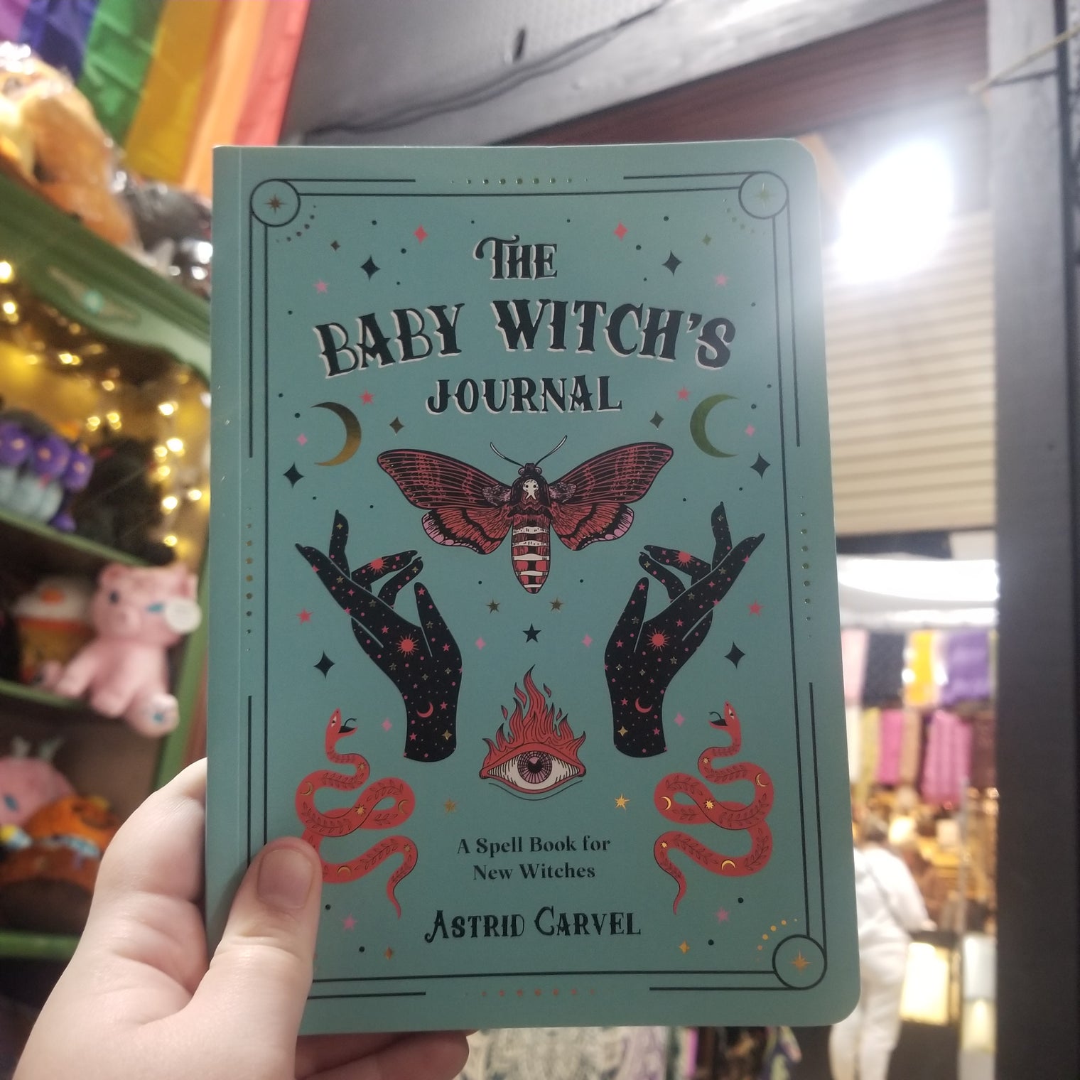 The Baby Witch's Journal