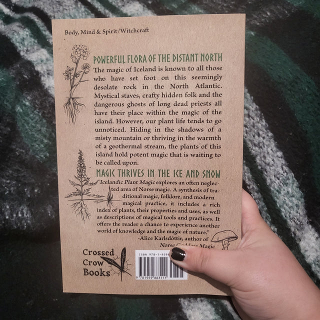 Icelandic Plant Magic: Folk Herbalism of the North