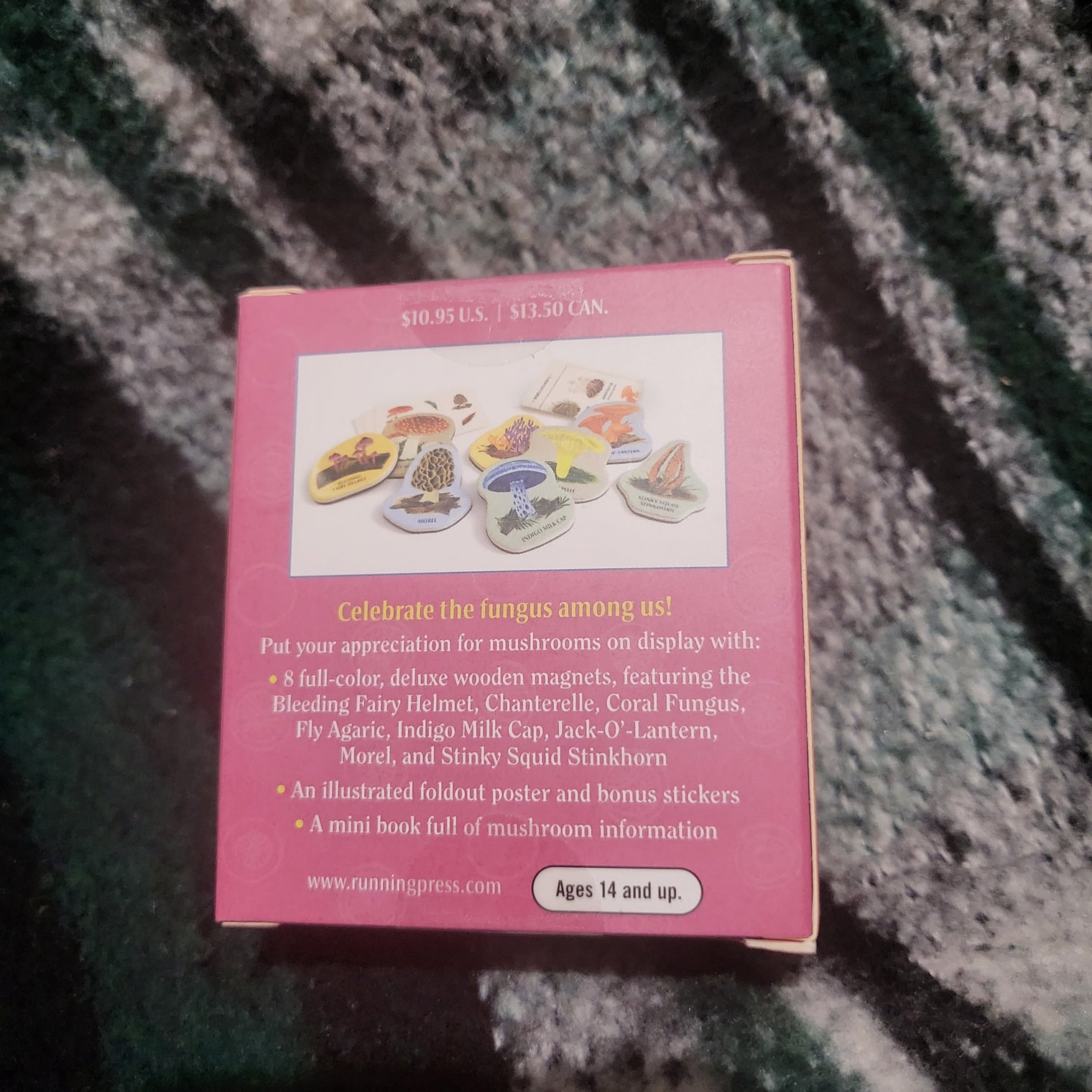 Mushrooms Magnet Set