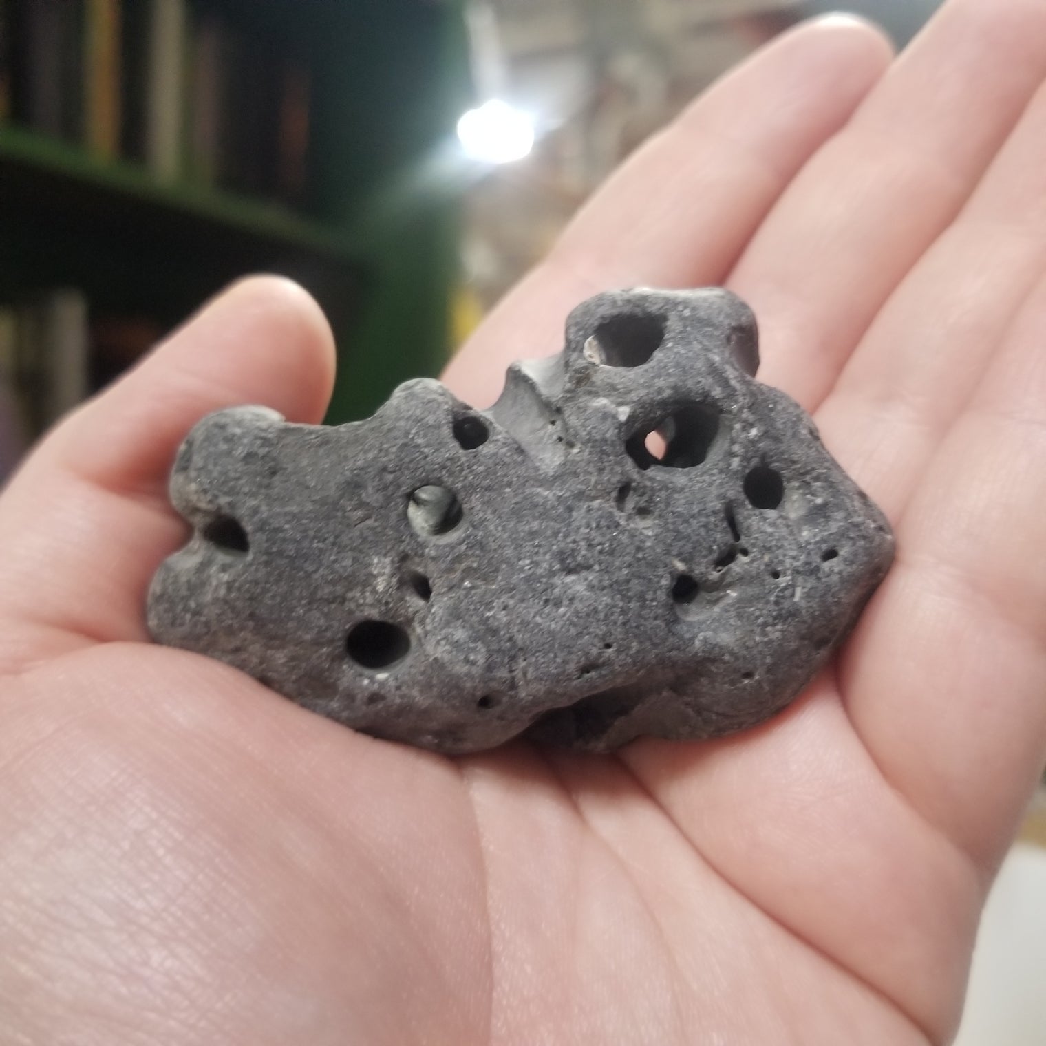 Irish Hag Stones