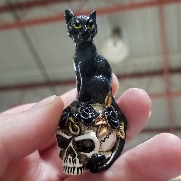 Mini Cat on Skull