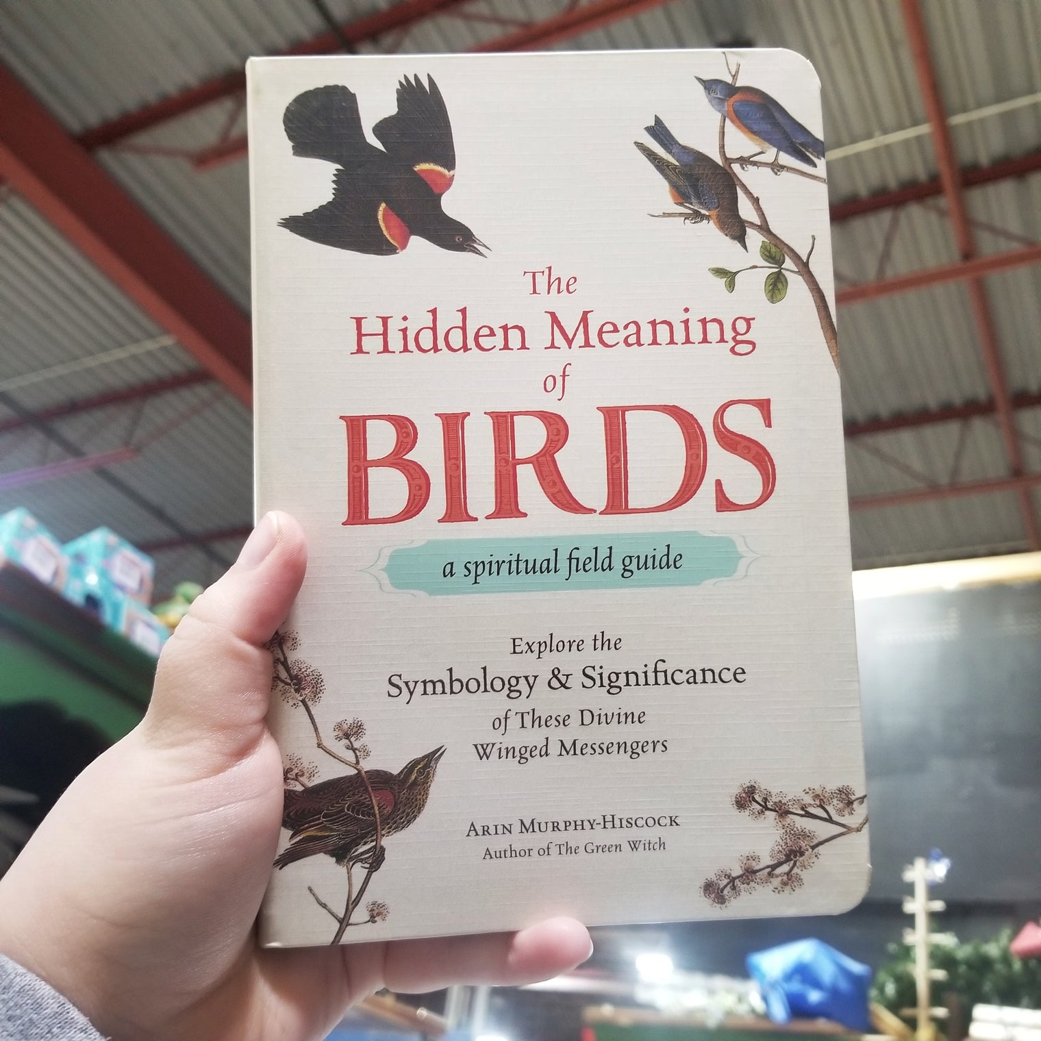 The Hidden Meaning of Birds