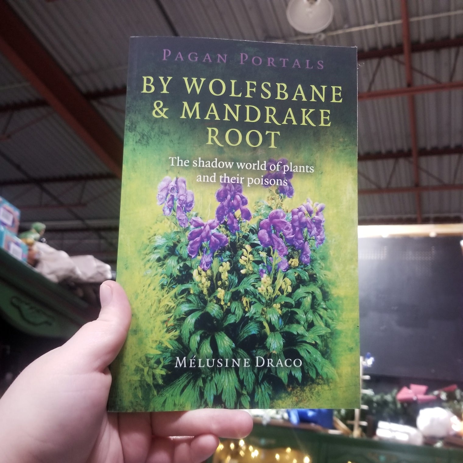 By Wolfsbane & Mandrake Root