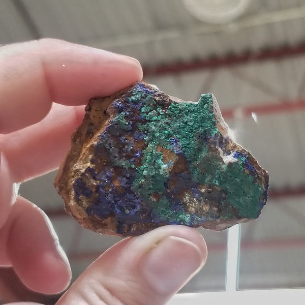 Azurite & Chrysocolla on matrix