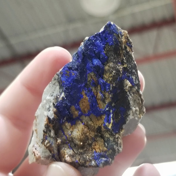 Azurite druze on matrix