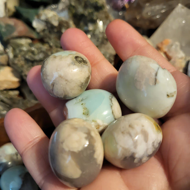 Green Flower Agate Tumble