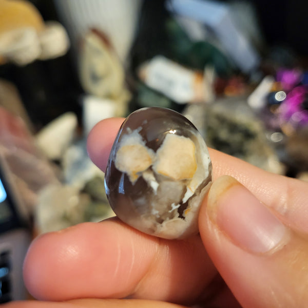 Black Flower Agate Tumbles